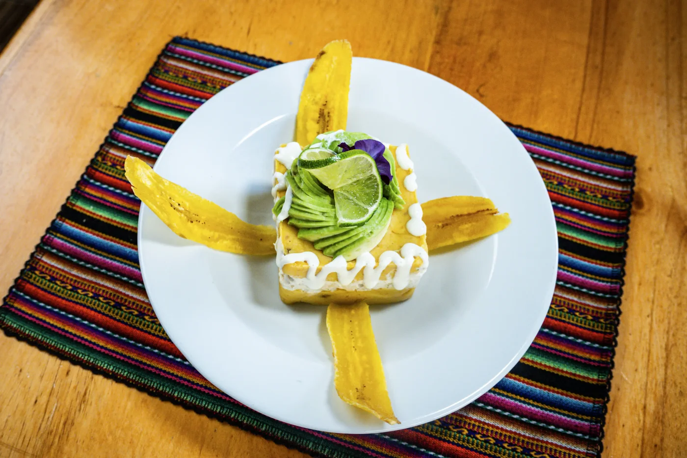 Causita de palta
